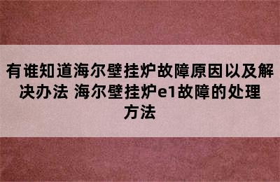 有谁知道海尔壁挂炉故障原因以及解决办法 海尔壁挂炉e1故障的处理方法